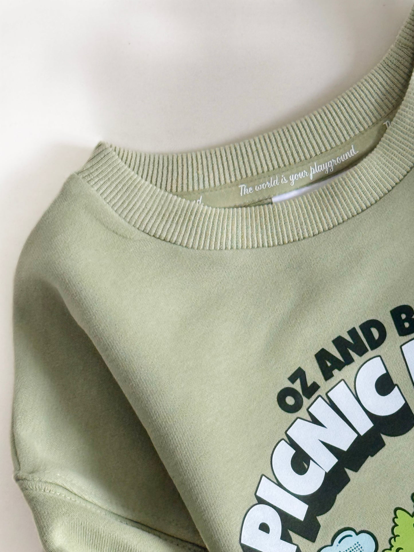 Picnic Party Sweatshirt in Pistachio