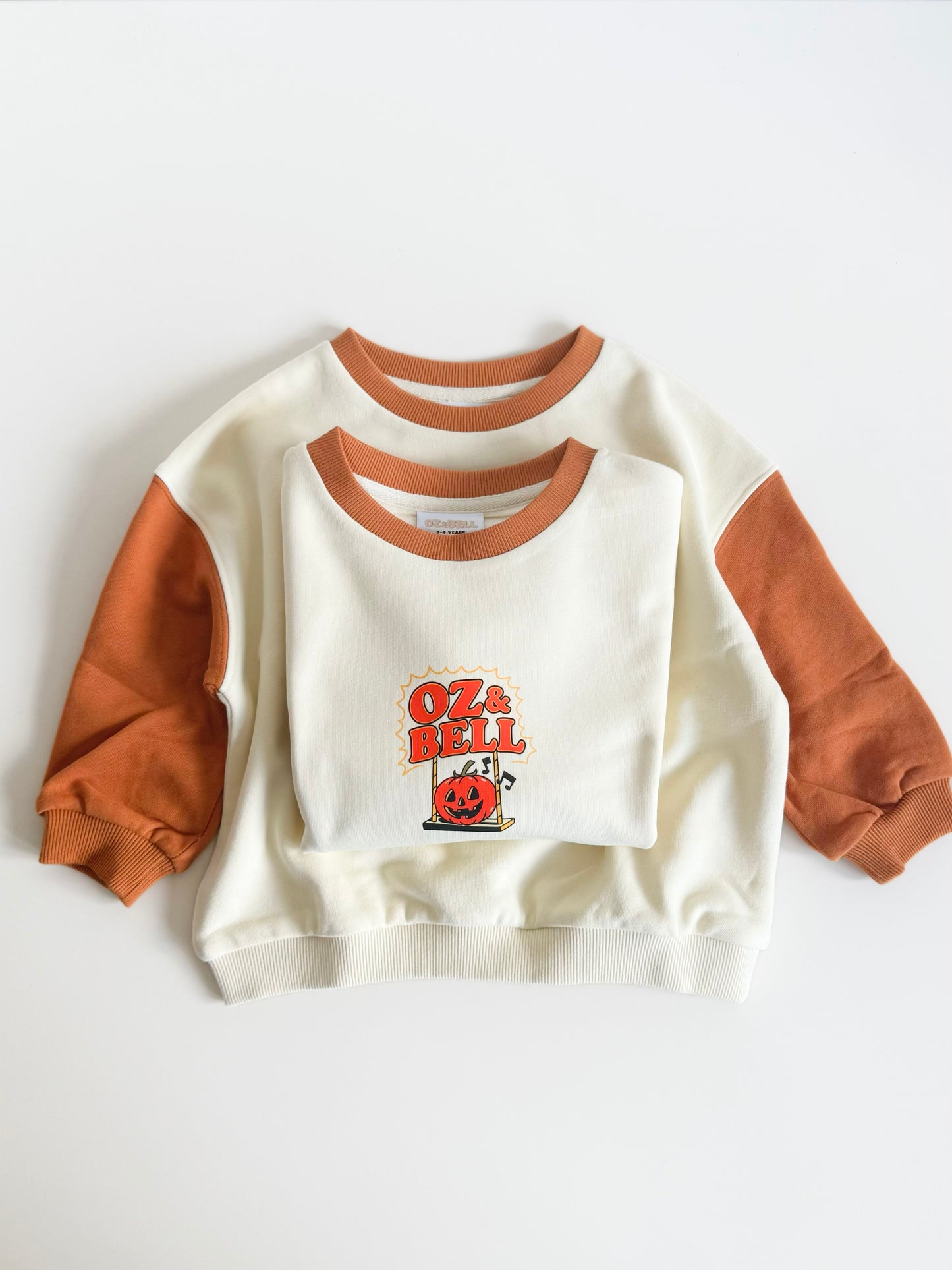 Park Life: After Dark Sweatshirt in Burnt/Cream Colour Block
