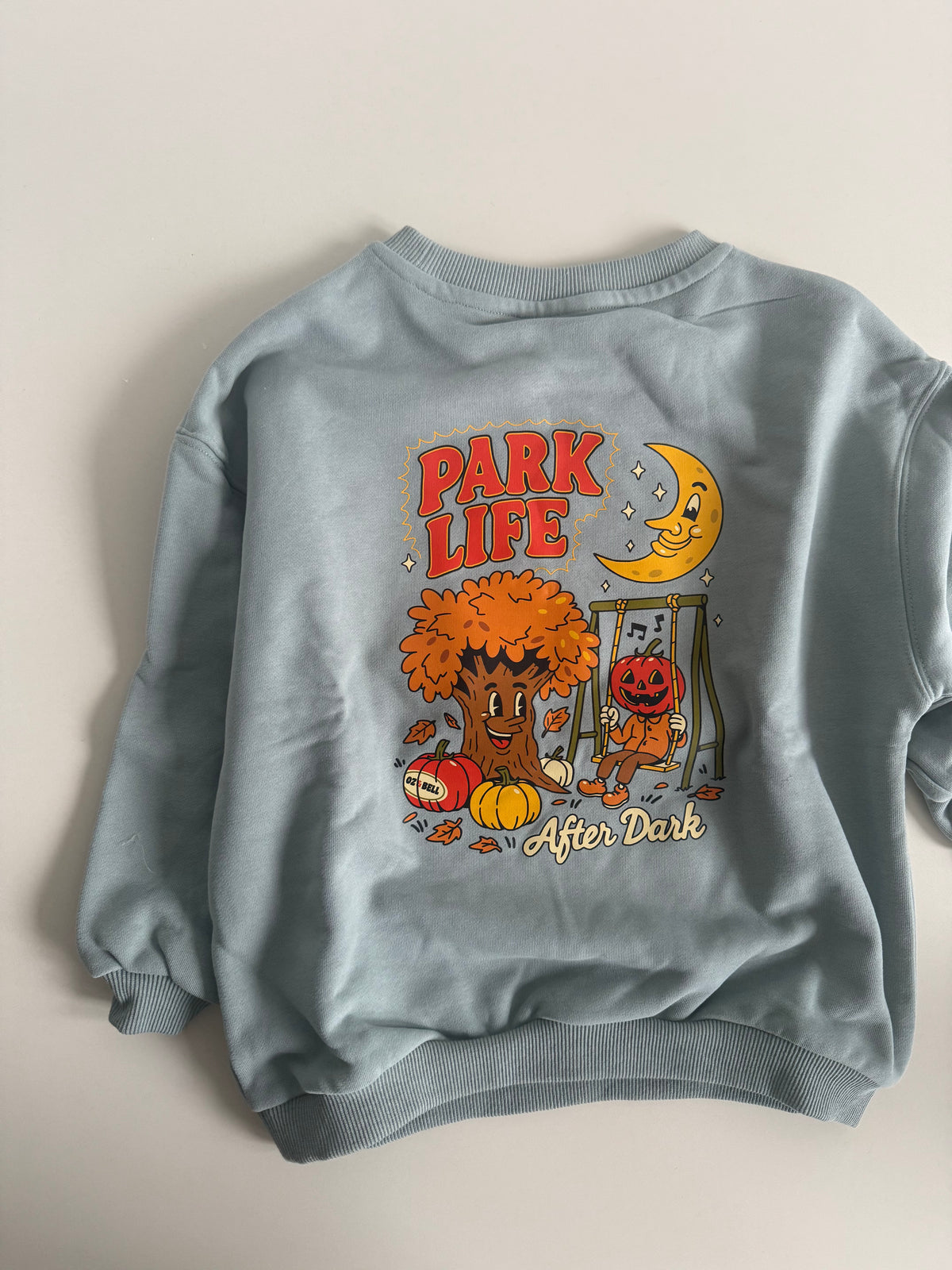 Ready To Ship: Park Life After Dark Sweatshirt in Mist 4-5 Years