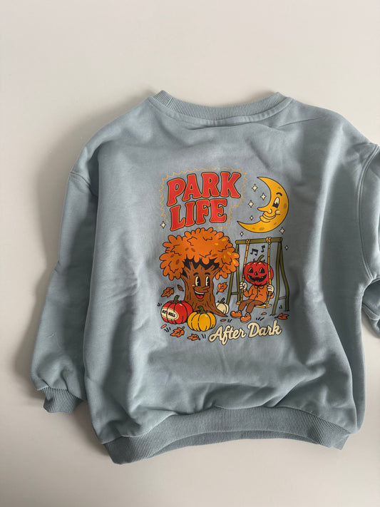 Ready To Ship: Park Life After Dark Sweatshirt in Mist 4-5 Years