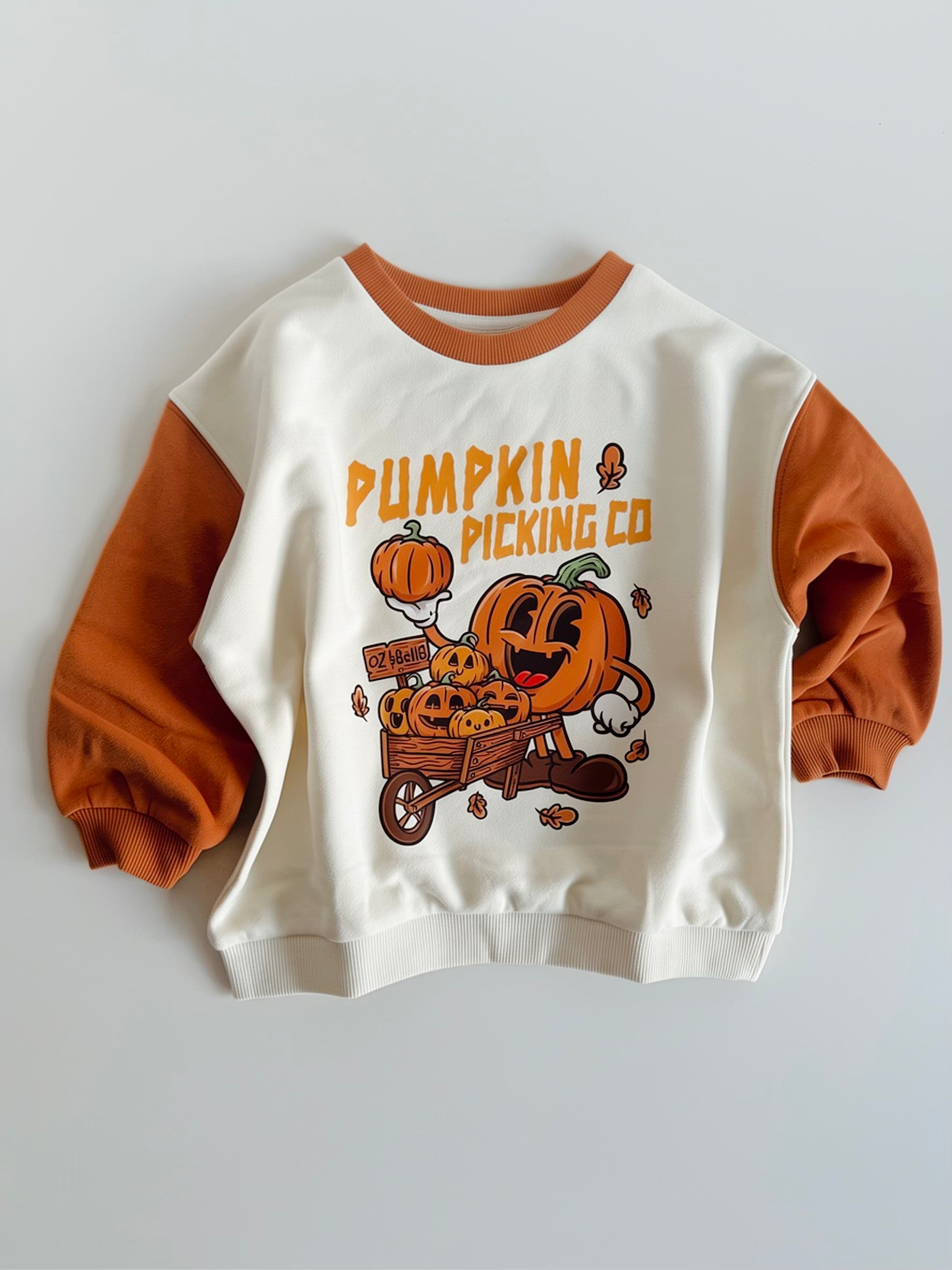 Pumpkin Picking Co Sweatshirt in Burnt/Cream Colour Block